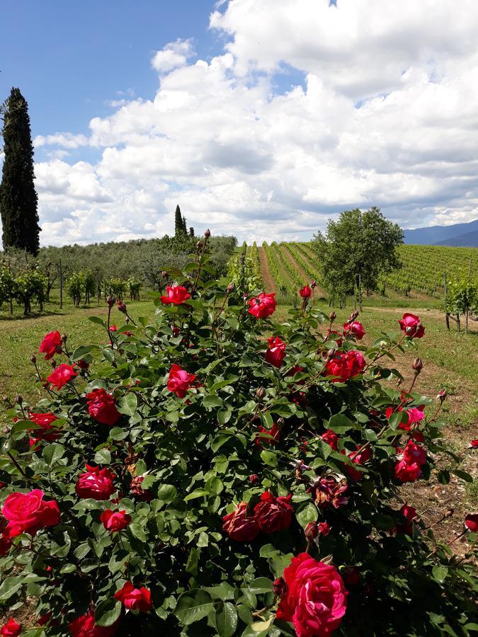 La Vecchia Quercia Villa Pergine Valdarno Exterior foto