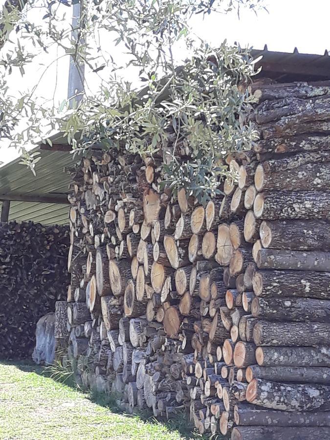 La Vecchia Quercia Villa Pergine Valdarno Exterior foto